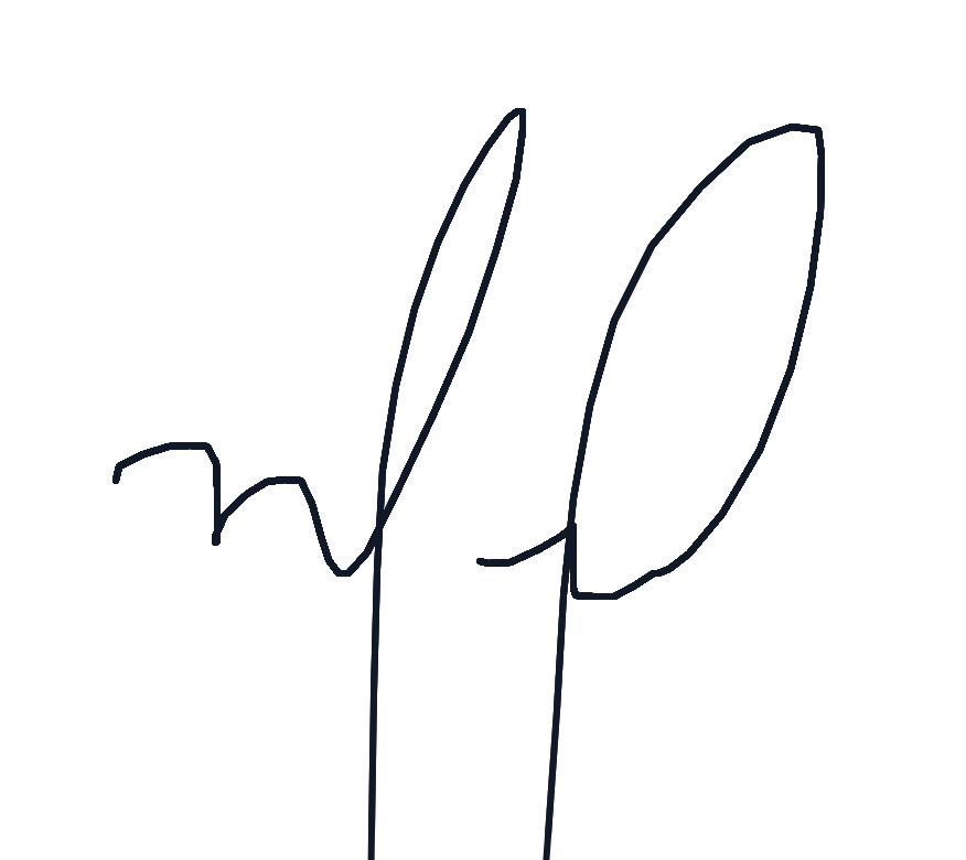 Assinatura do diretor